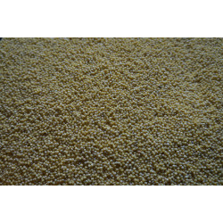 Millet