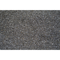 Graines de chia