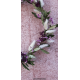 Couronne de fleurs séchées murale - violet