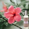 Spray d'ambiance 100 ml Fleur d'hibiscus