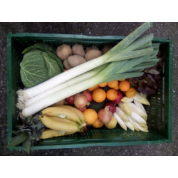 Panier familial Fruits et légumes mixte 100% bios