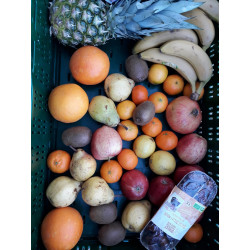 Panier Fruits mixte 100% bios