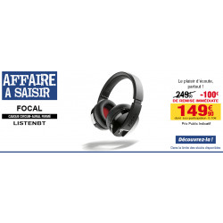 Ecouteurs intra-oculaires Focal - couleur silver