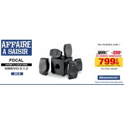 Ecouteurs intra-oculaires Focal - couleur silver