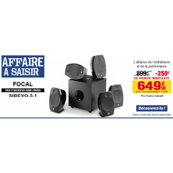 Ecouteurs intra-oculaires Focal - couleur silver