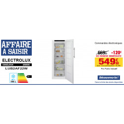 Congélateur Armoire ELECTROLUX